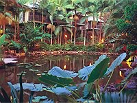 Daintree Eco Lodge