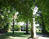 Nutmeg Grove Bed & Breakfast