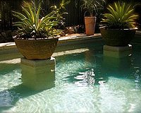 Tropical North Properties