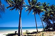 Palm Cove
