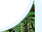 cityofcairns.com - Specialising in Cairns web design and search engine optimisation in Australia