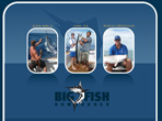 Big Fish Downunder