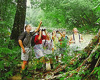 Wooroonooran Safaris